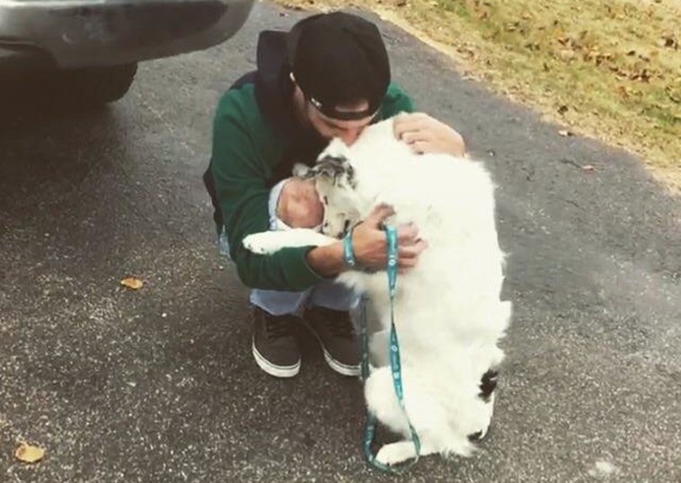 border collie cuddles new dad