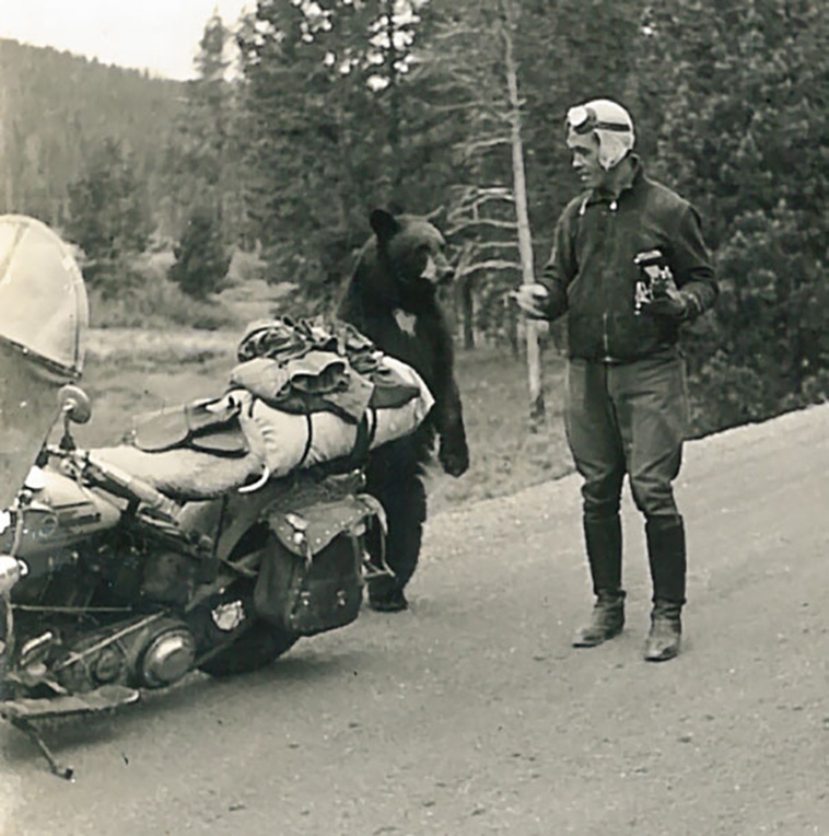 cool grandparents