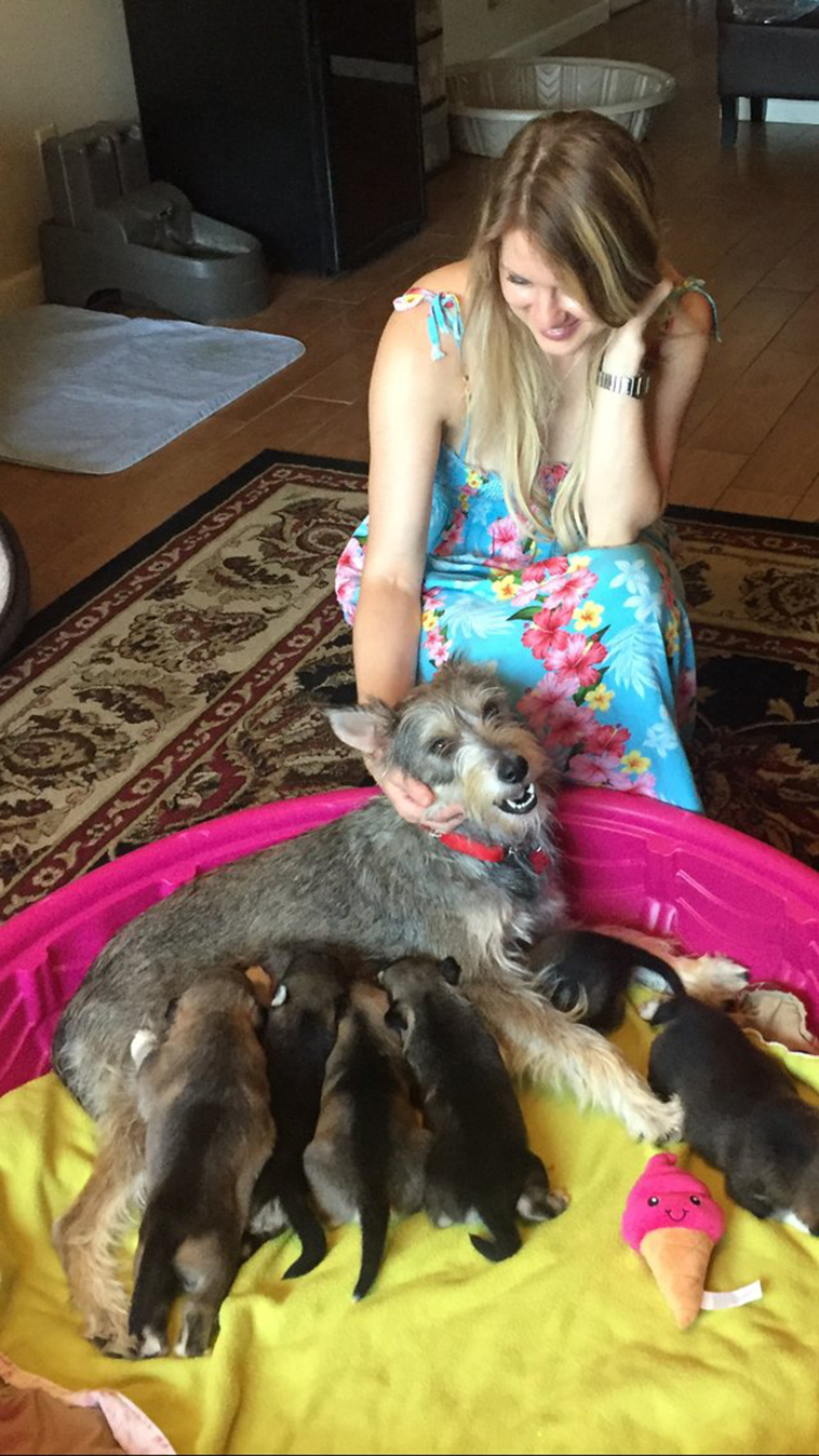 homeless dog has puppies in bushes