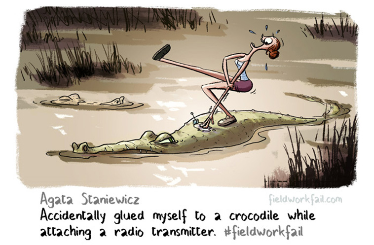 Fieldwork Fails