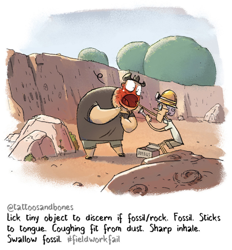 Fieldwork Fails