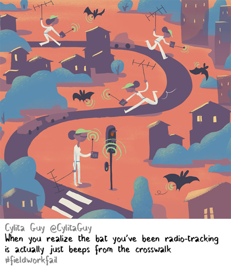 Fieldwork Fails