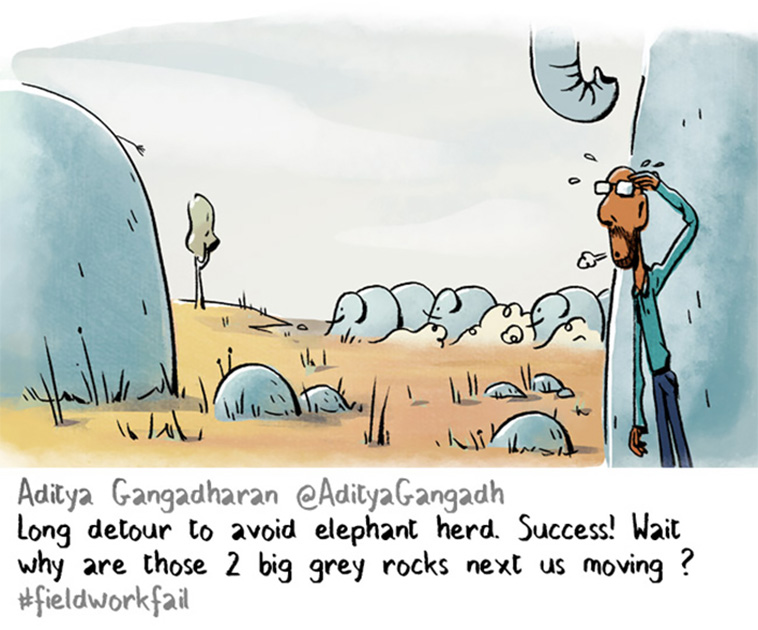Fieldwork Fails
