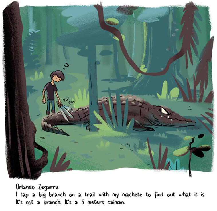 Fieldwork Fails