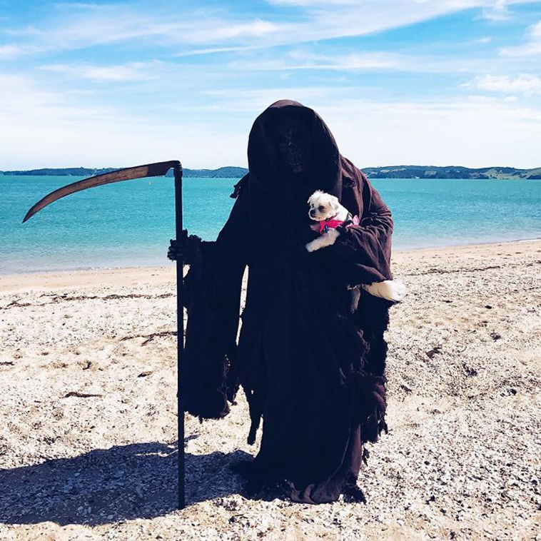 swim reaper instagram account