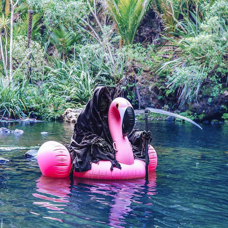 swim reaper instagram account