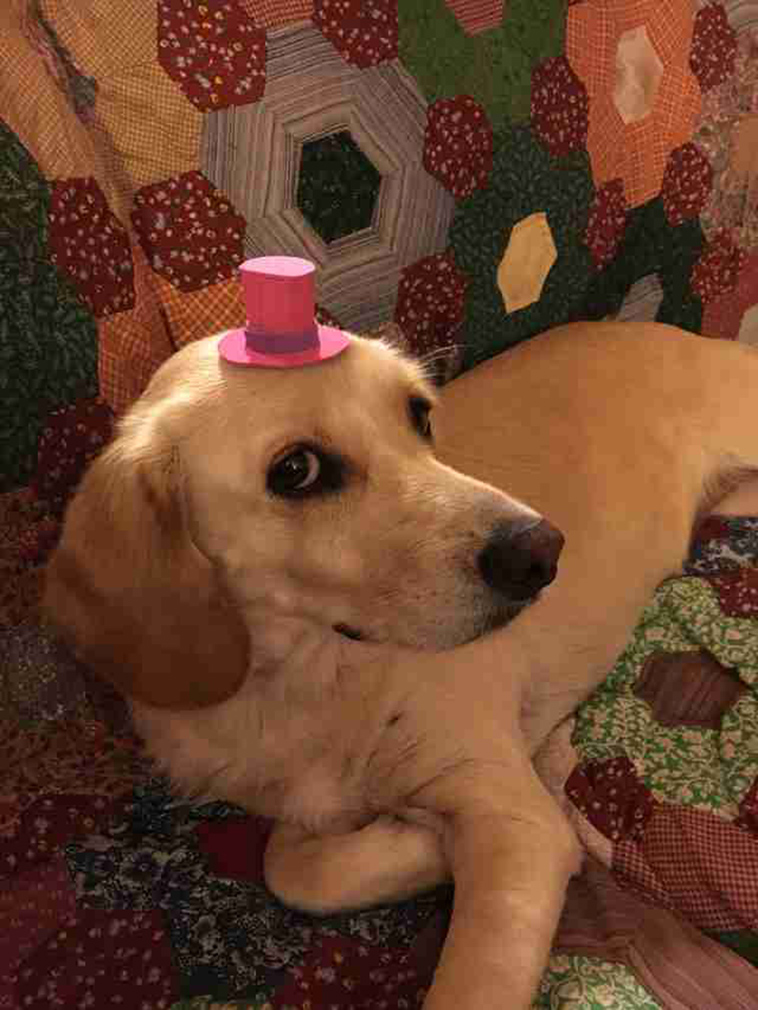 toad wears hat