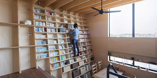 Climbable Earthquake-Proof Bookshelf