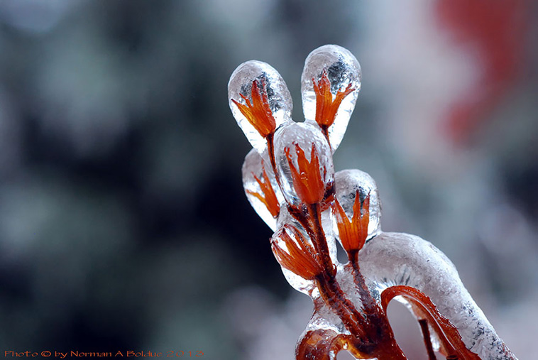 Ice And Snow Formations 