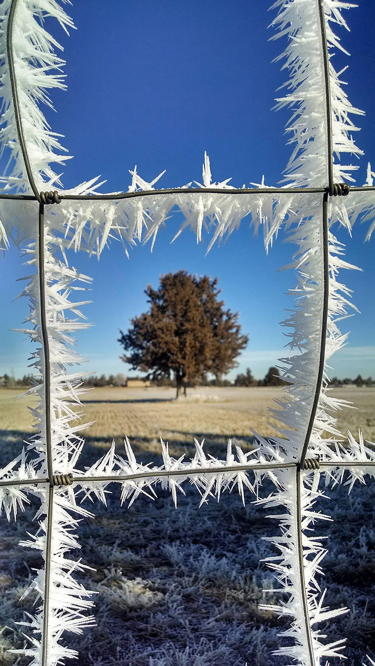 Ice And Snow Formations 