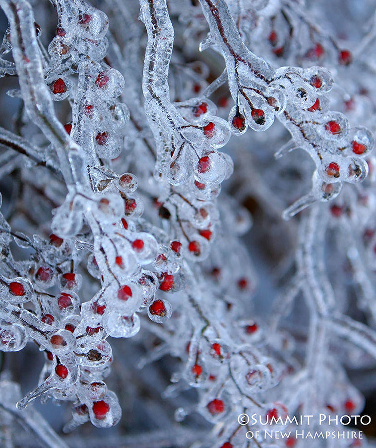 Ice And Snow Formations 