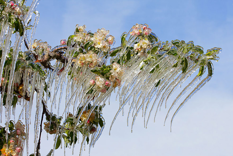 Ice And Snow Formations 