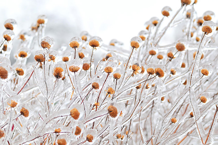 Ice And Snow Formations 
