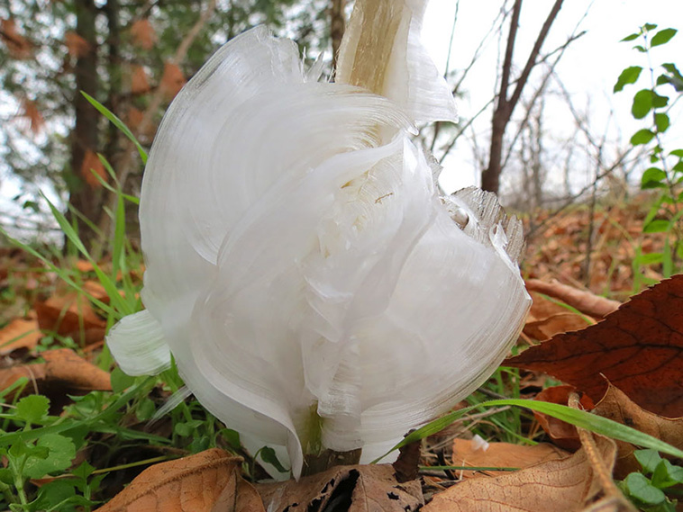 Ice And Snow Formations 