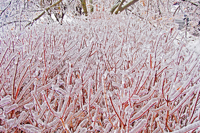 Ice And Snow Formations 