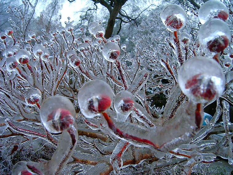 Ice And Snow Formations 