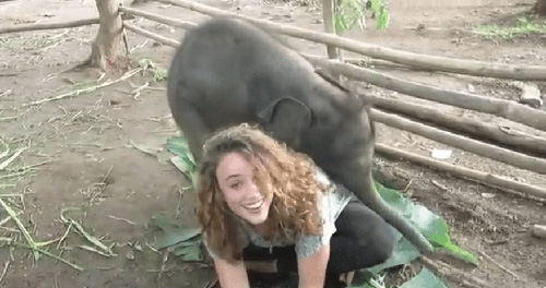 Rescued Baby Elephant Won’t Stop Hugging Her Caretaker