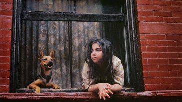 Street Scenes of New York City in the 1970s