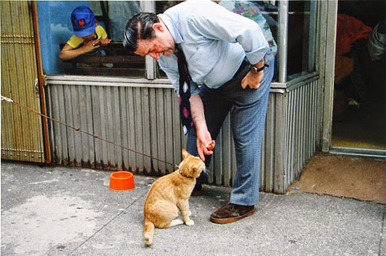 Street Scenes of New York City in the 1970s