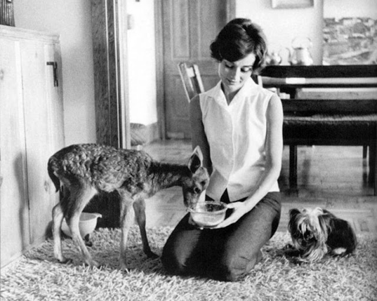 audrey hepburn pet deer pippen