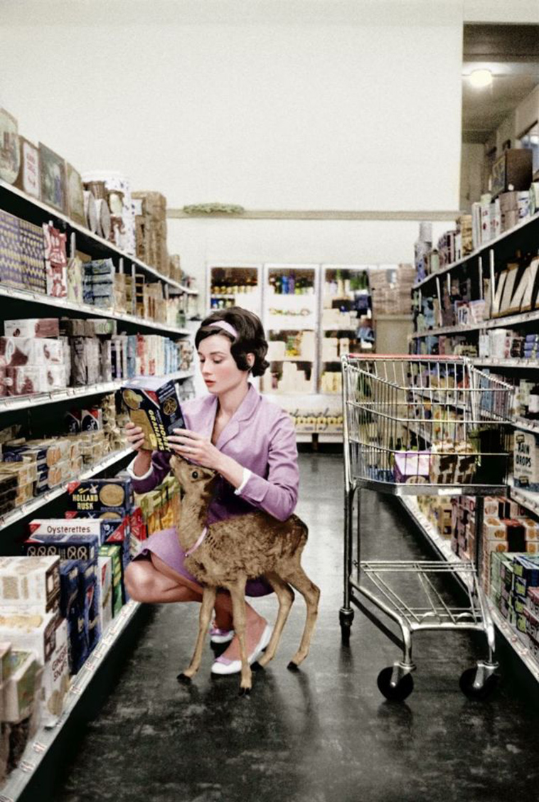 audrey hepburn pet deer pippen