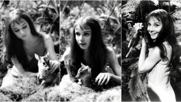 audrey hepburn pet deer pippen