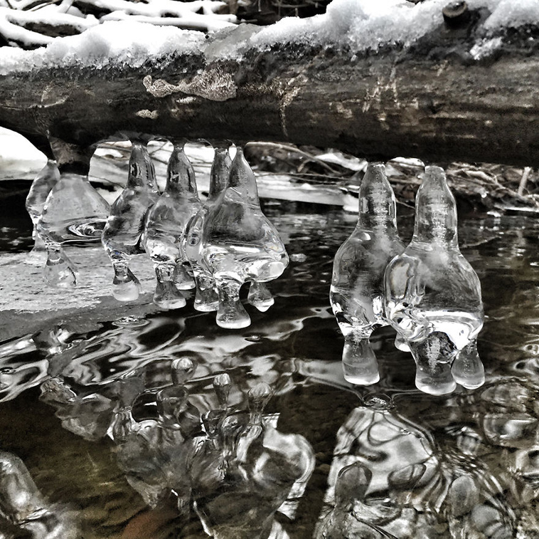 frozen ice art