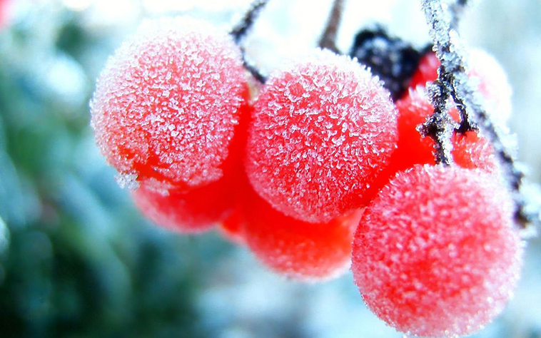 frozen ice art