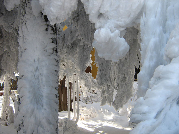frozen ice art