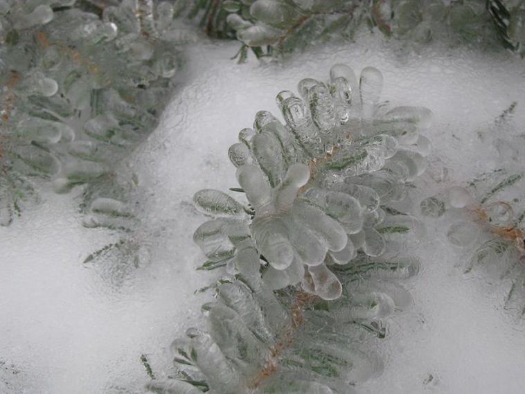 frozen ice art