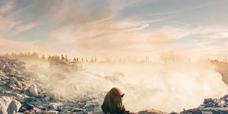 most heartbreaking image