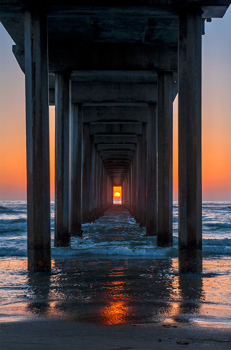 perfectly timed photos right moment