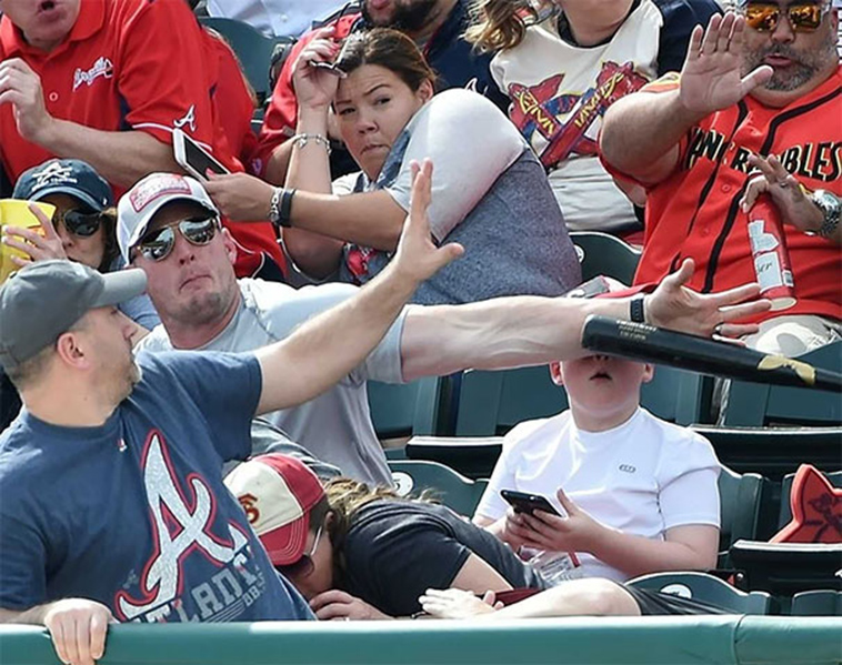 perfectly timed photos right moment