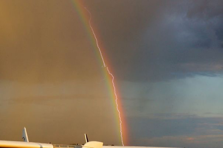 perfectly timed photos right moment
