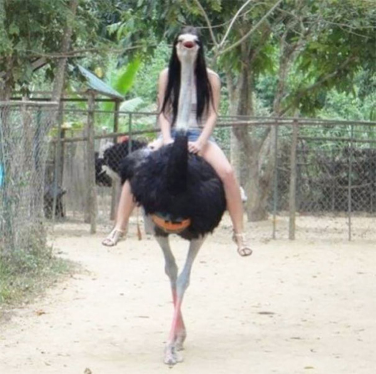 perfectly timed photos right moment