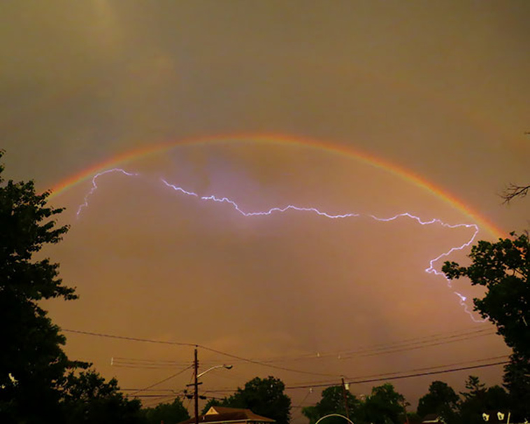 perfectly timed photos right moment