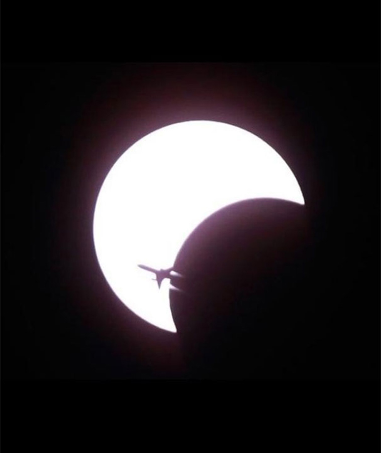 perfectly timed photos right moment