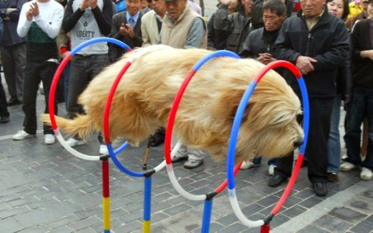 perfectly timed photos right moment