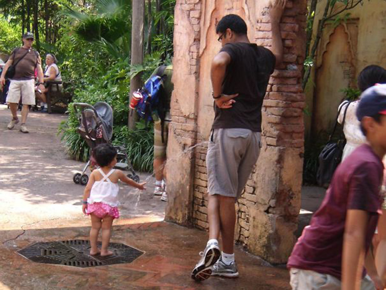 perfectly timed photos right moment