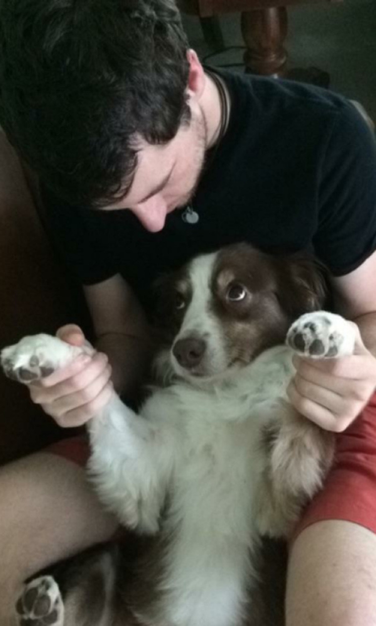 pets stealing partners