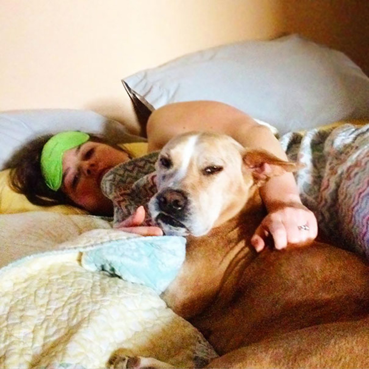 pets stealing partners