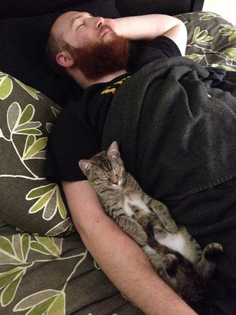 pets stealing partners