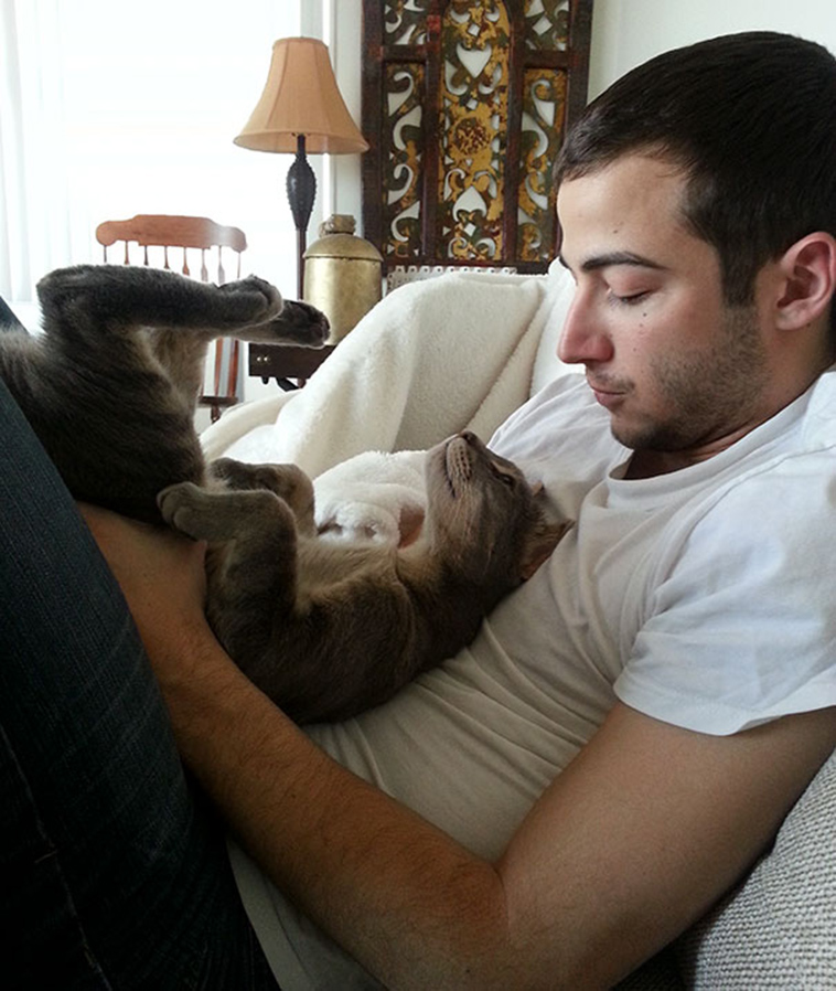 pets stealing partners