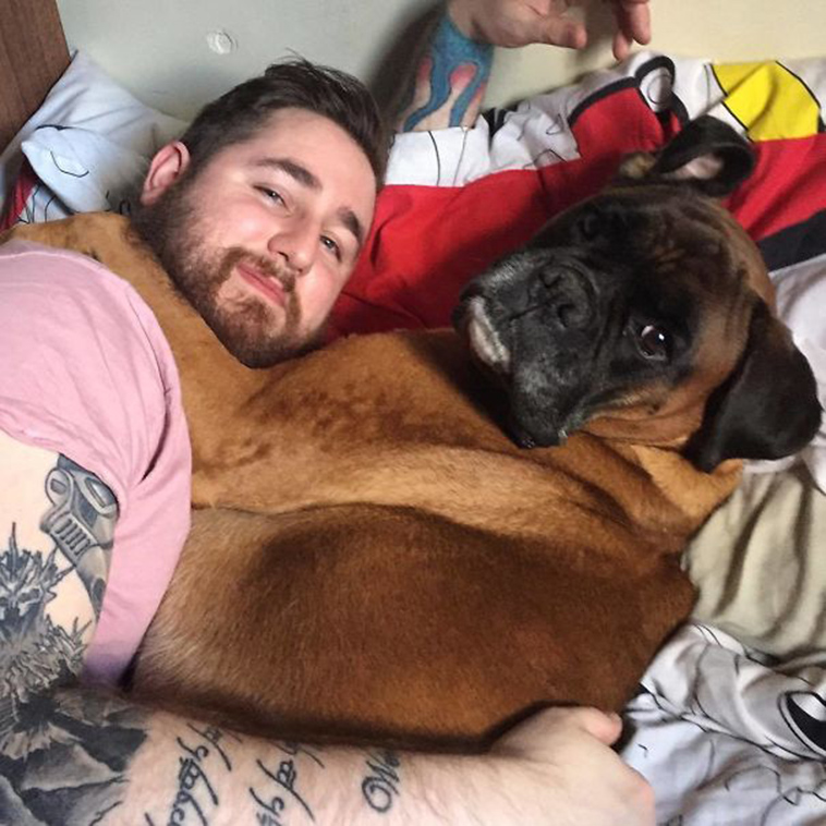 pets stealing partners