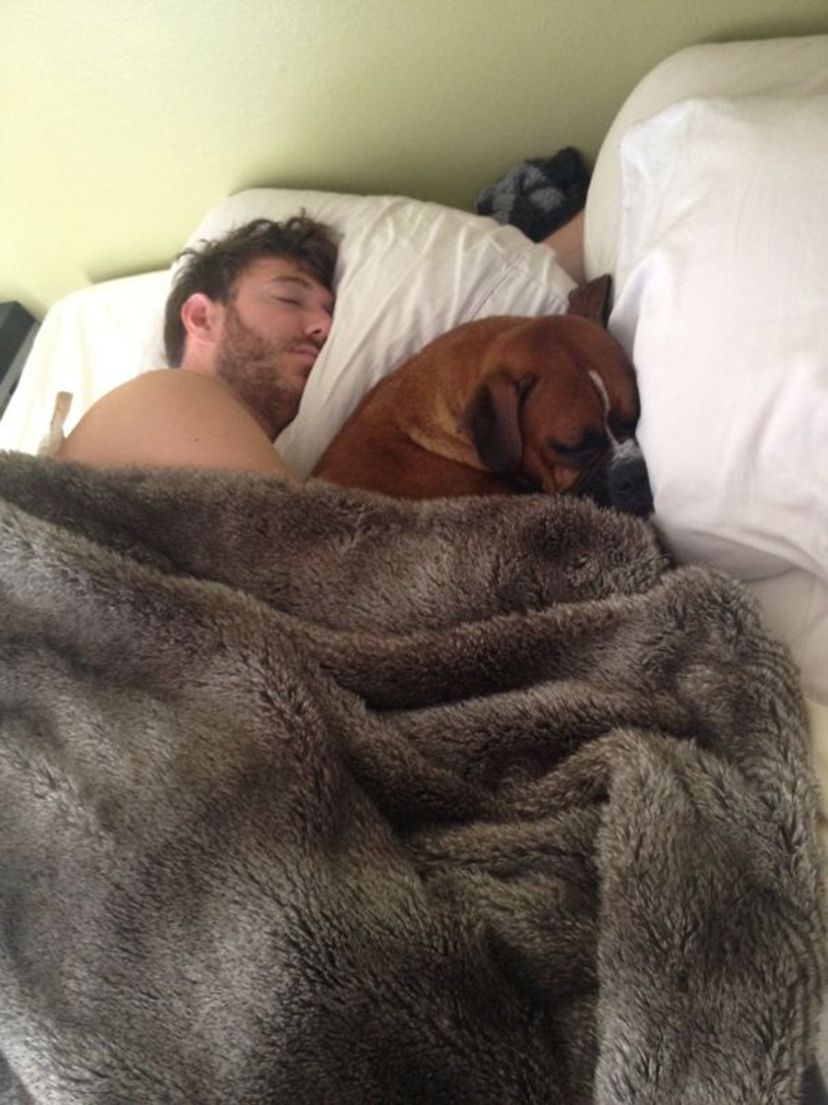 pets stealing partners