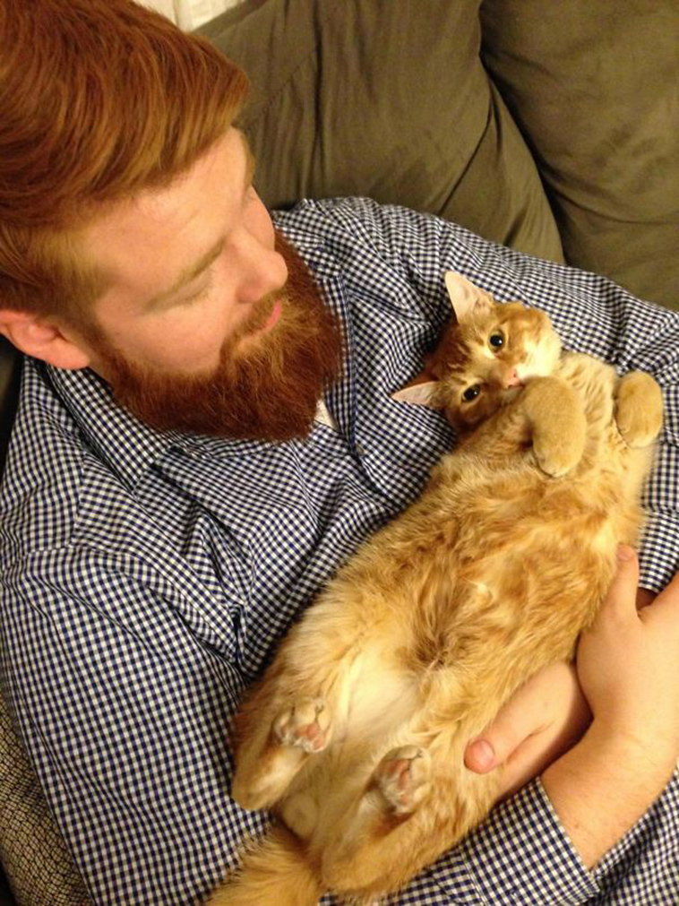 pets stealing partners