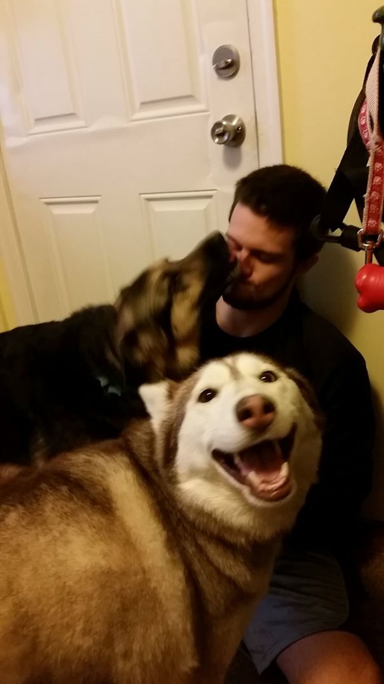 pets stealing partners