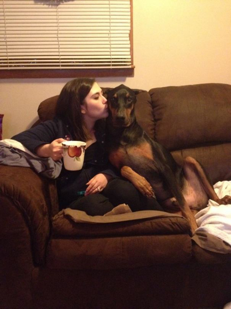 pets stealing partners