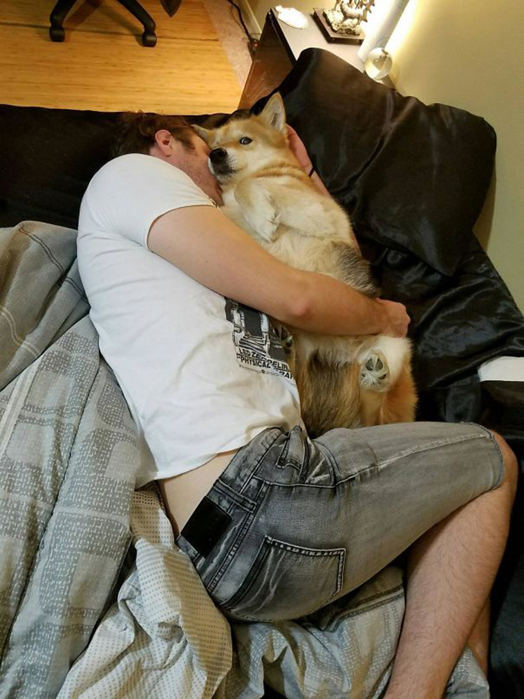 pets stealing partners