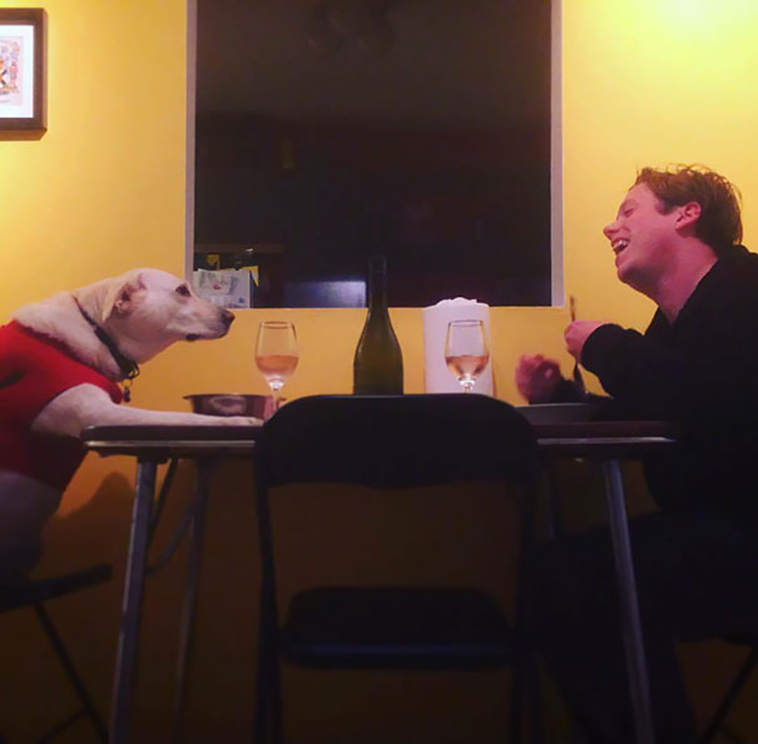 pets stealing partners